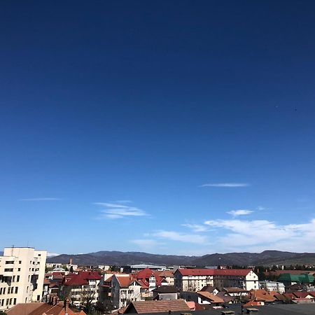 Tif Studio Râmnicu Vâlcea Eksteriør billede